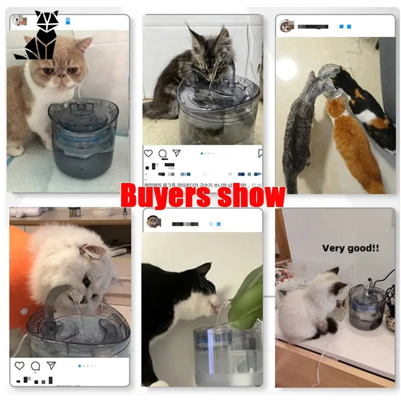 Fontaine à eau pour chats - Hydratation fraîche : Une colonie de chats buvant de l’eau dans un abreuvoir