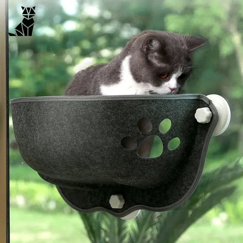 Chat assis sur une planche à gratter dans le hamac de fenêtre Comfort pour chats - Vue panoramique